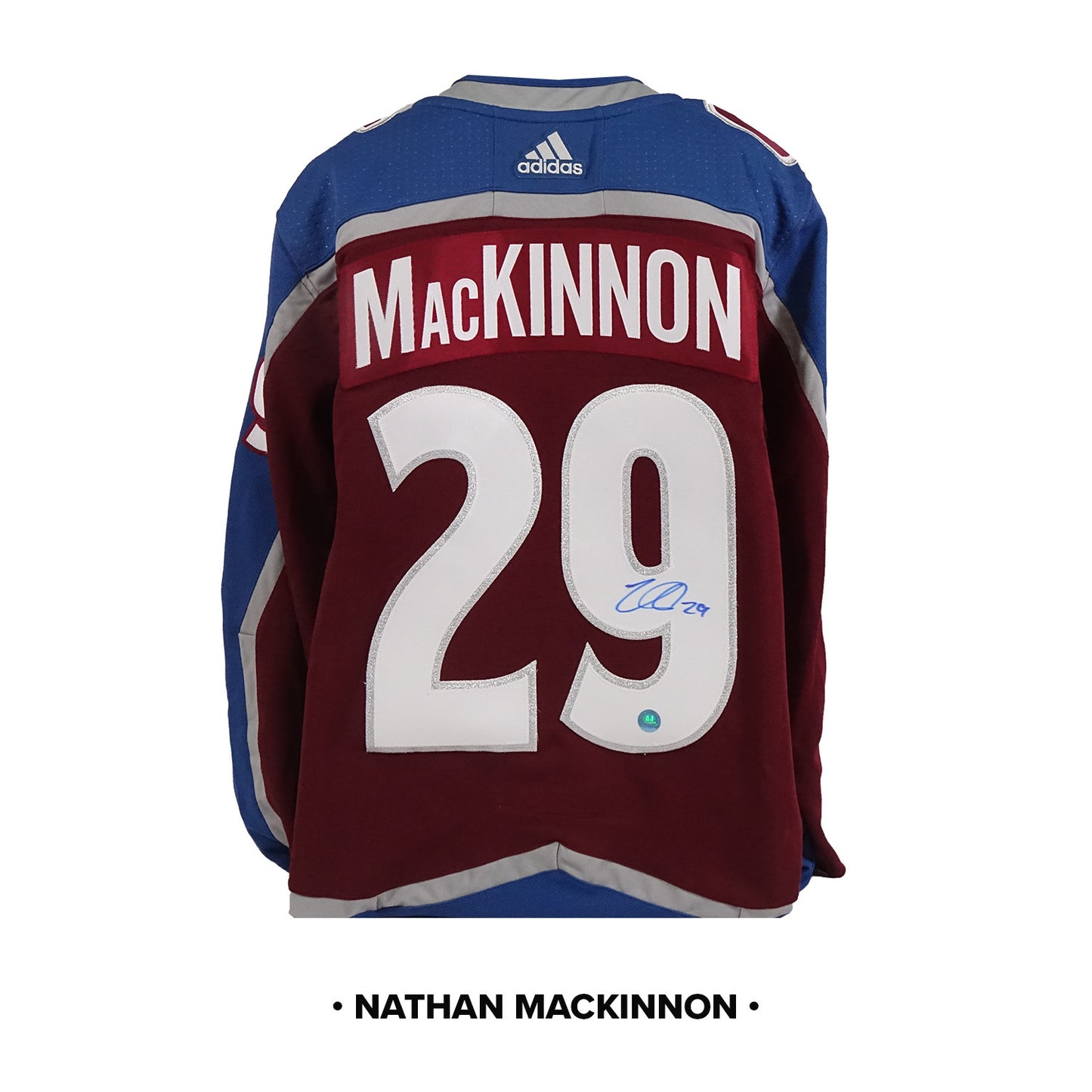 Autographed Hockey Jersey